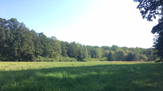 beitrag markg01