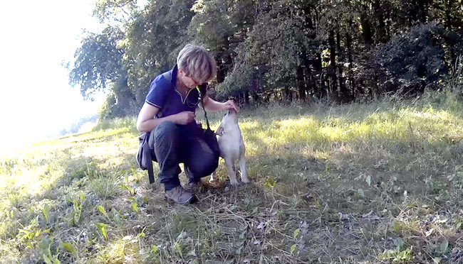 Frei Bei Fuß -Übungen: richtige Position belohnen Frei Bei Fuß -Übungen: richtige Position belohnen