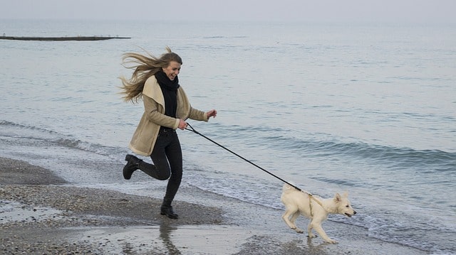 Die Zeit mit Hund genießen