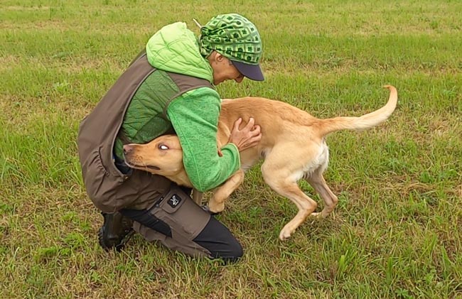 richtig spielen mit dem Hund spielen mit dem Hund
